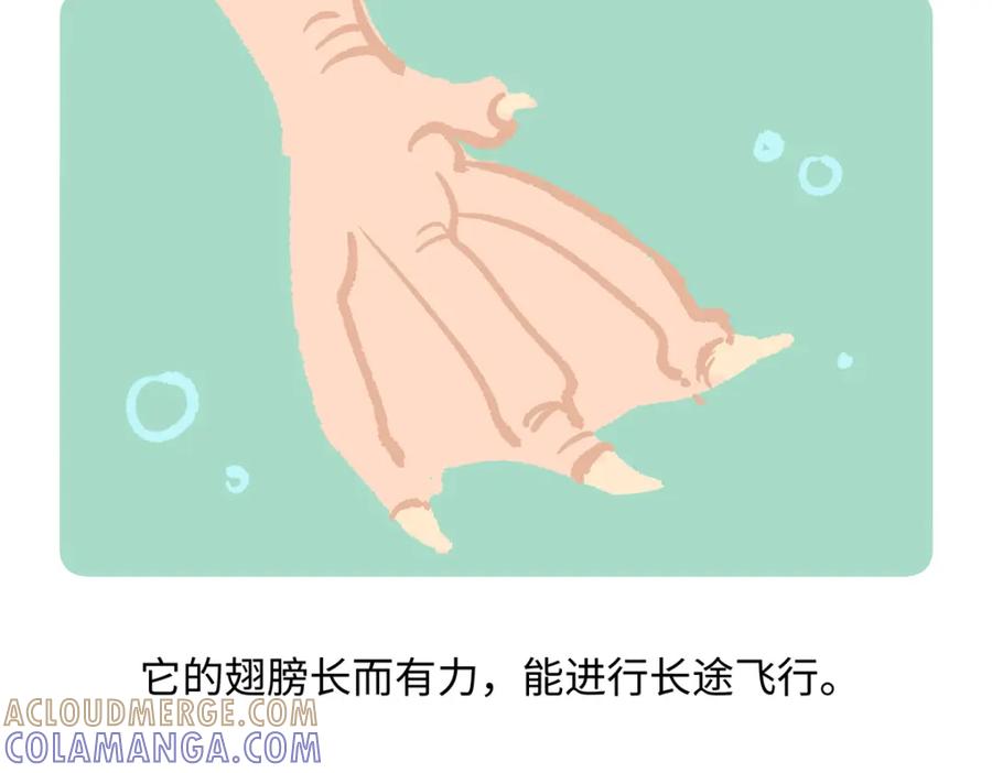 《胖达x胖达》第268话 第27页