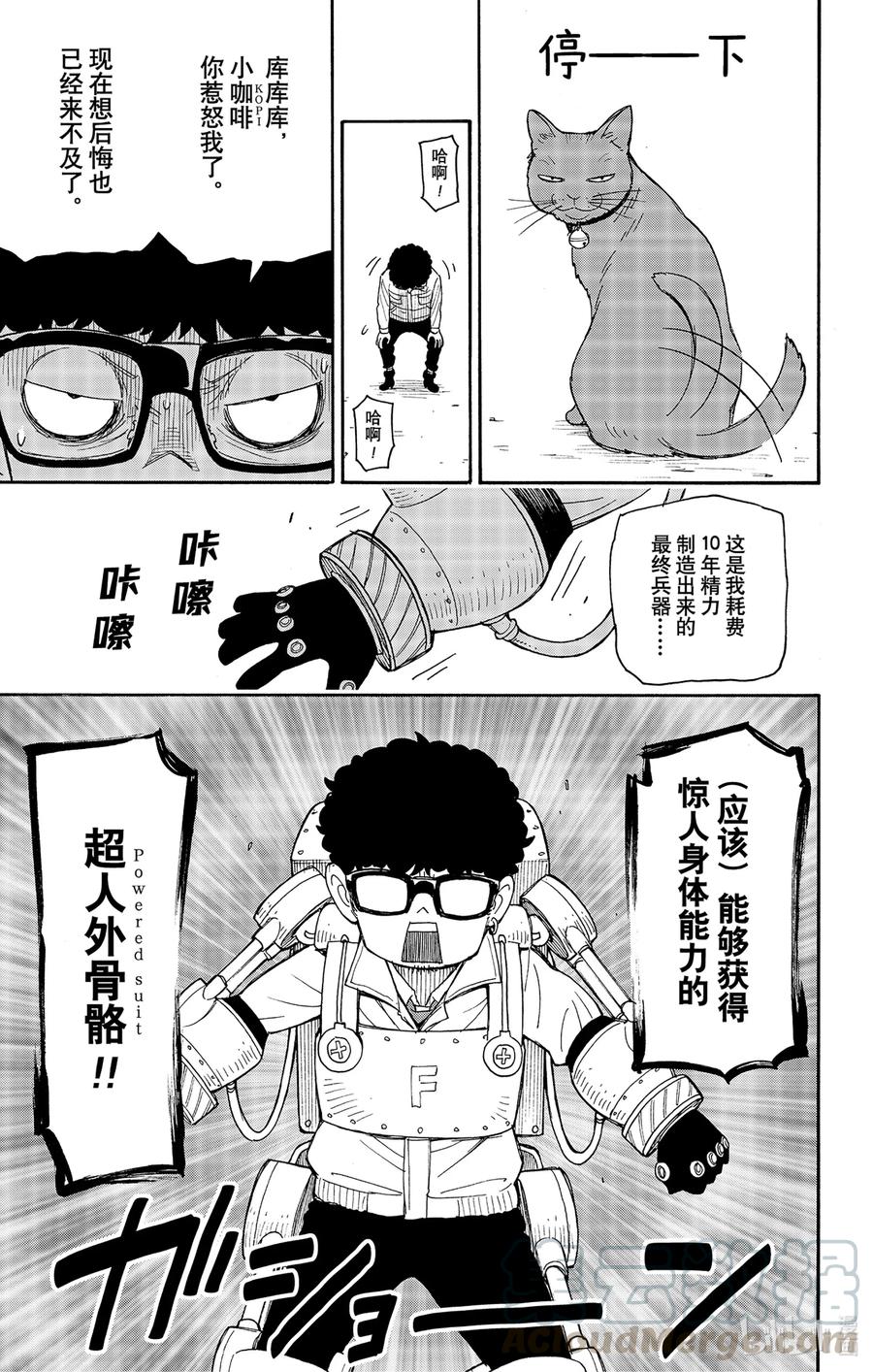 间谍过家家 43 MISSION 43 第13页