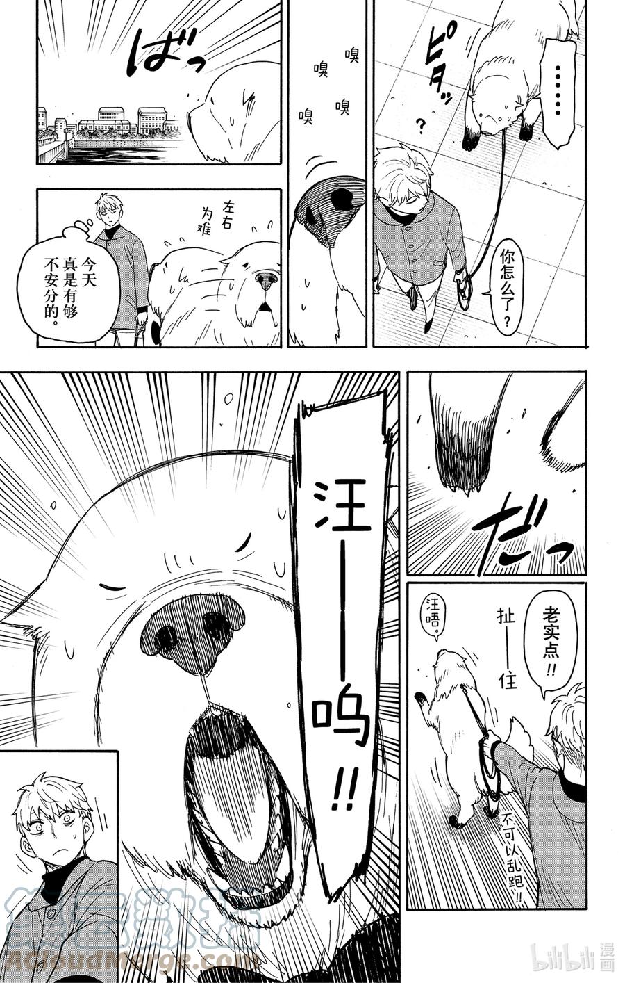 间谍过家家 58 MISSION 58 第13页