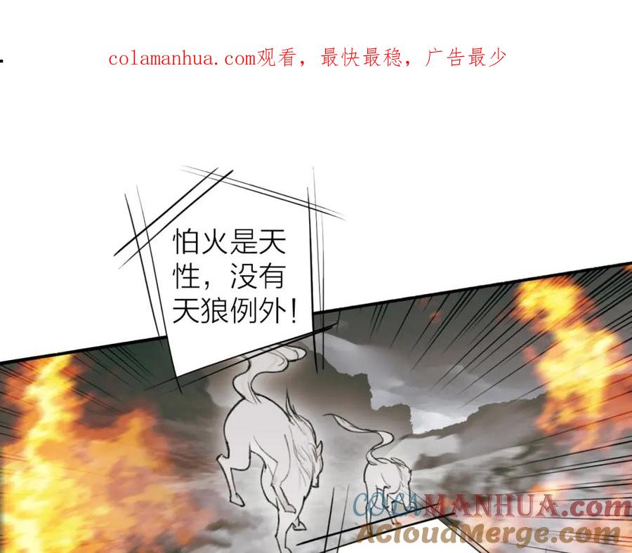 《将军，小心恶犬！》第22话 不顾性命 第1页