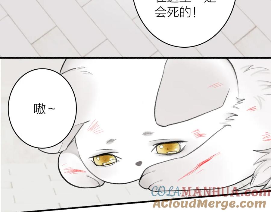 《将军，小心恶犬！》第35话 昆吾的手段 第55页