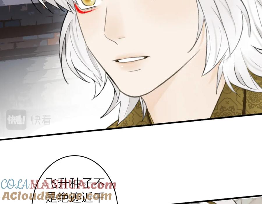 《将军，小心恶犬！》第36话 星君的秘密 第40页