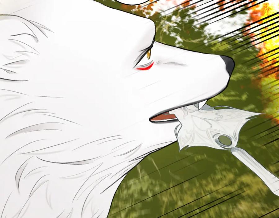 《将军，小心恶犬！》第41话 舍身保护 第28页