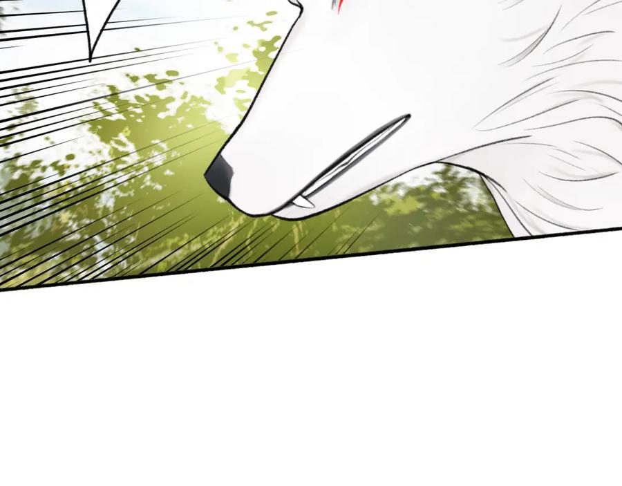 《将军，小心恶犬！》第41话 舍身保护 第62页