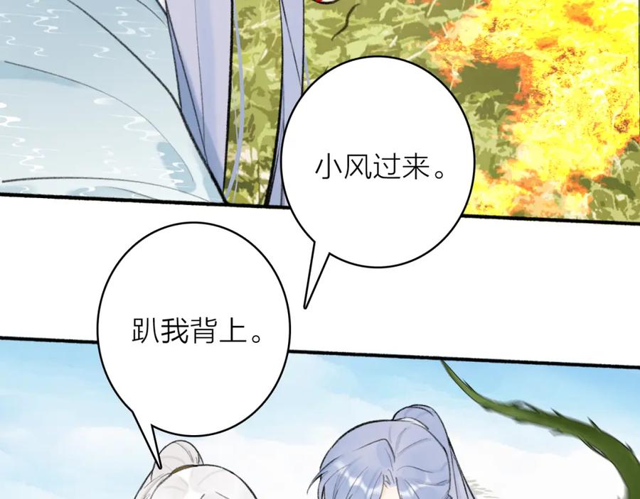 《将军，小心恶犬！》第41话 舍身保护 第13页