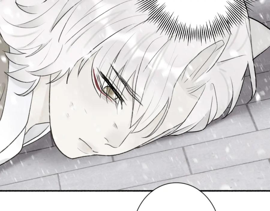 《将军，小心恶犬！》第51话 你是我心中的光 第18页