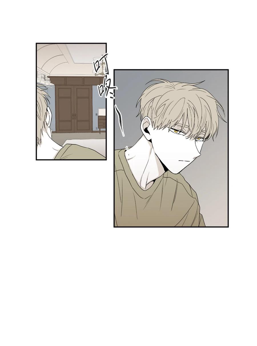 将杀 10 赢家 第45页