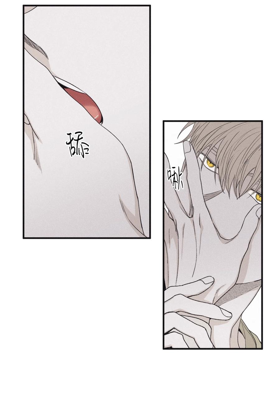 将杀 11 我还没说完 第27页