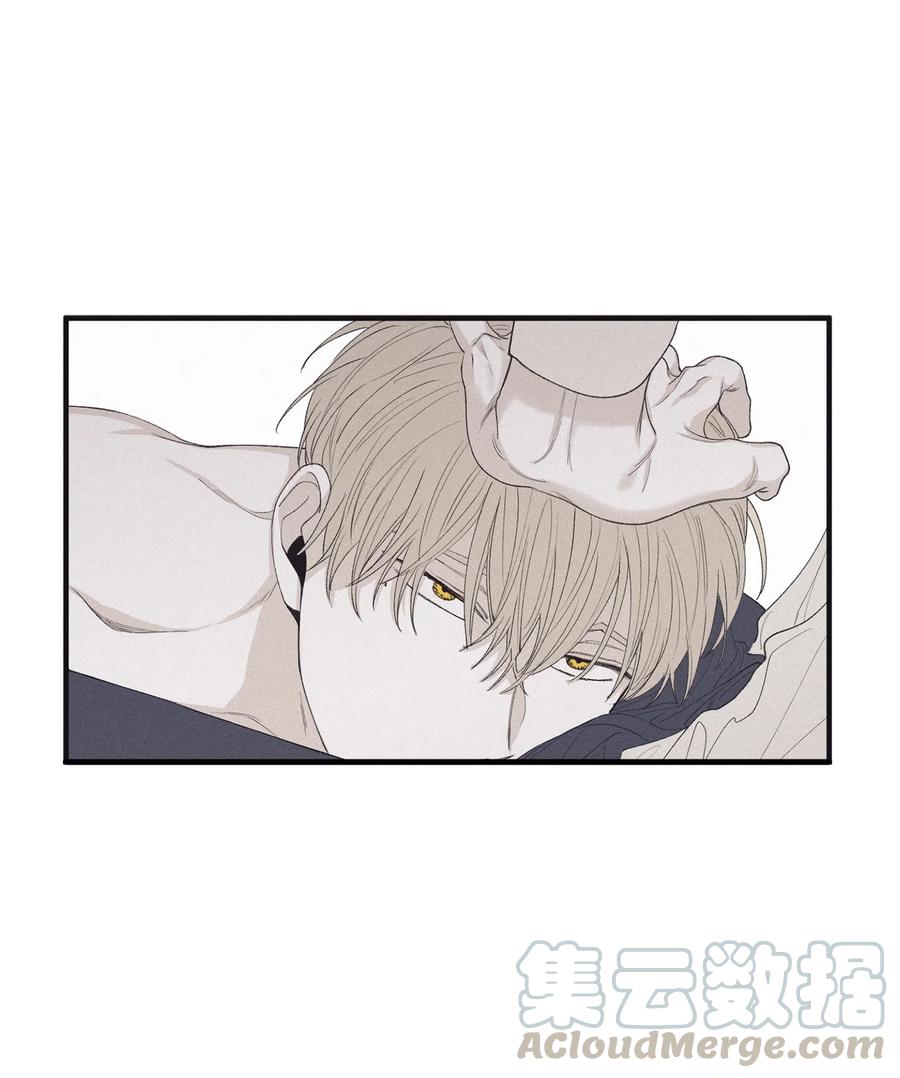将杀 14 让你做就做 第13页