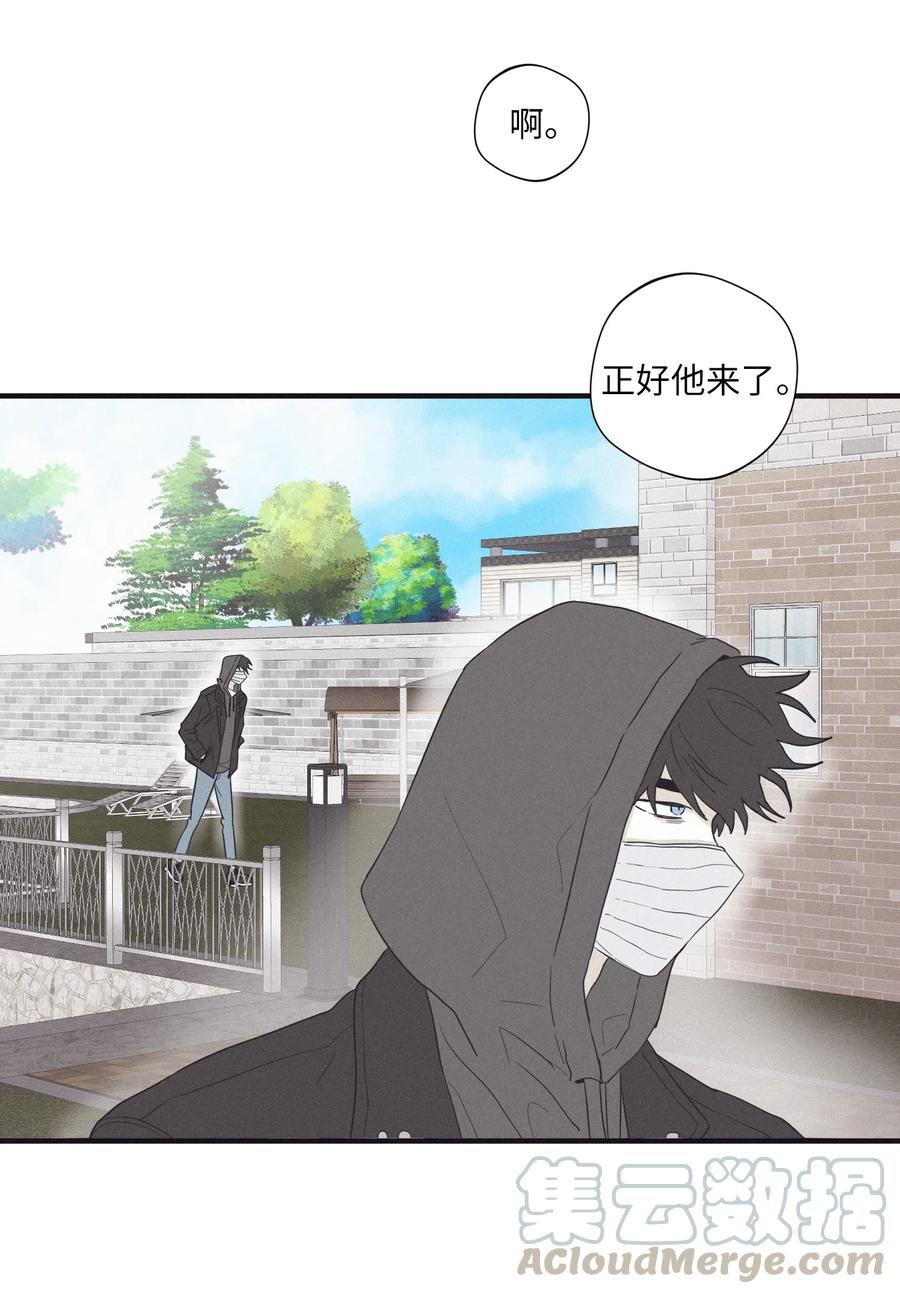 将杀 16 我会搞垮他 第40页