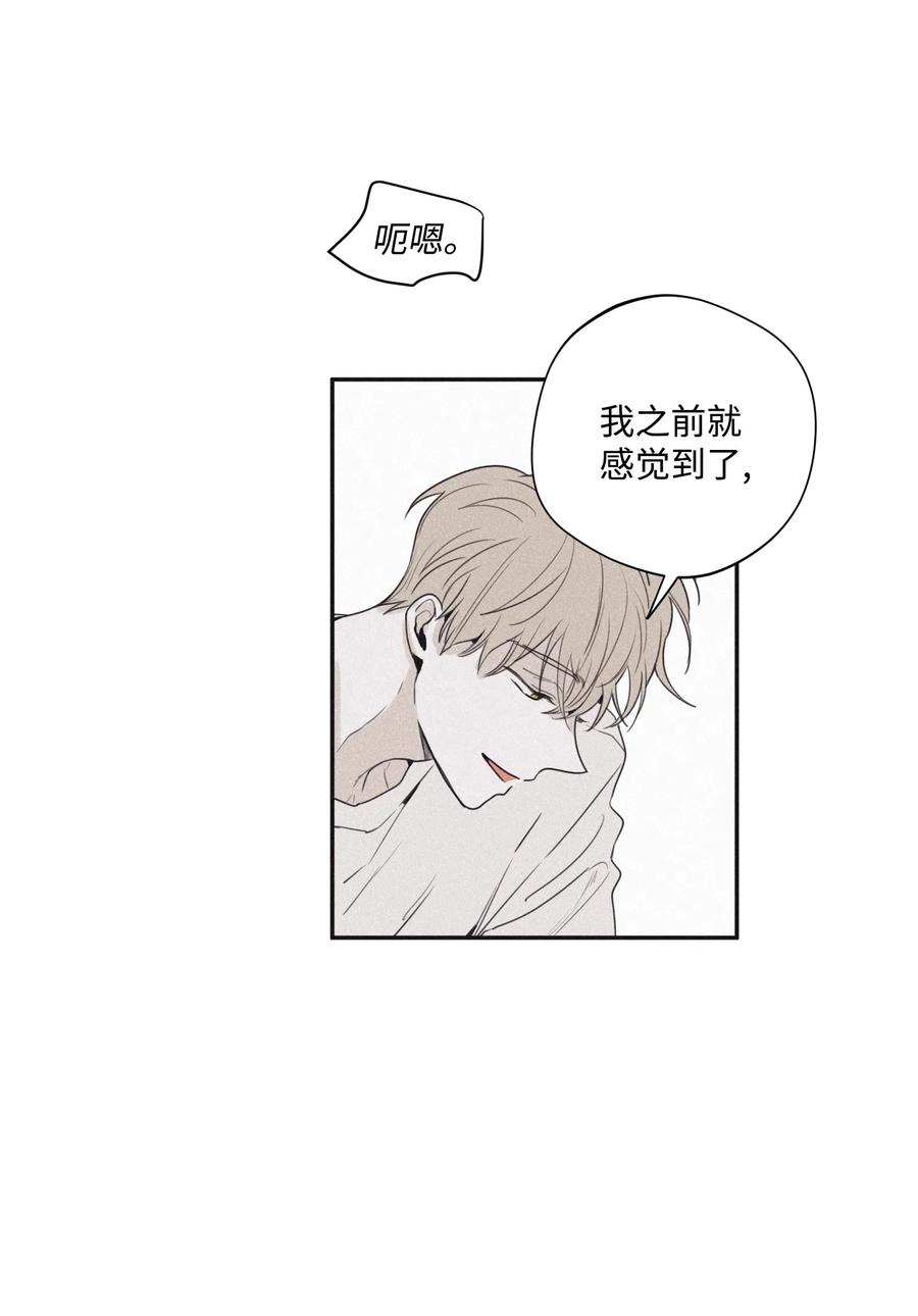 将杀 26 你经历了什么 第14页