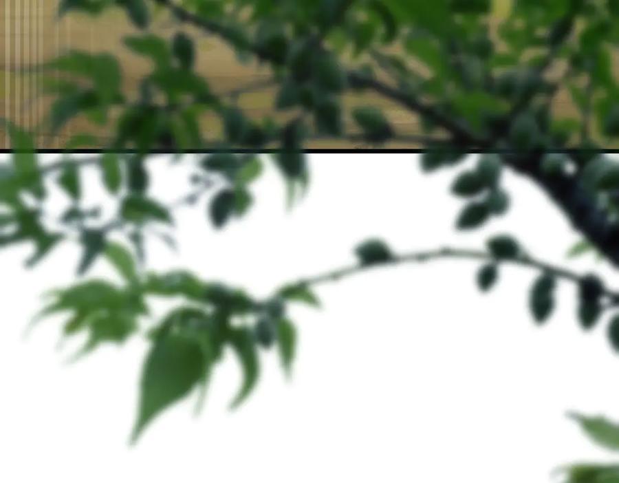 我把自己献给了双胞胎妹妹 儿时 第27页