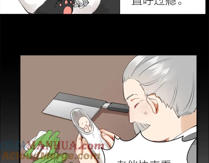 《降智小甜饼》第238-239话 伟大理想 第37页
