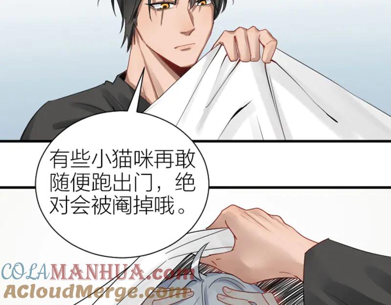 《降智小甜饼》第270-271话 真实身份 第49页