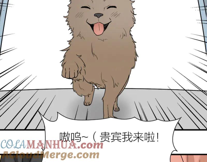 《降智小甜饼》第272-273话 温暖的狗狗 第43页