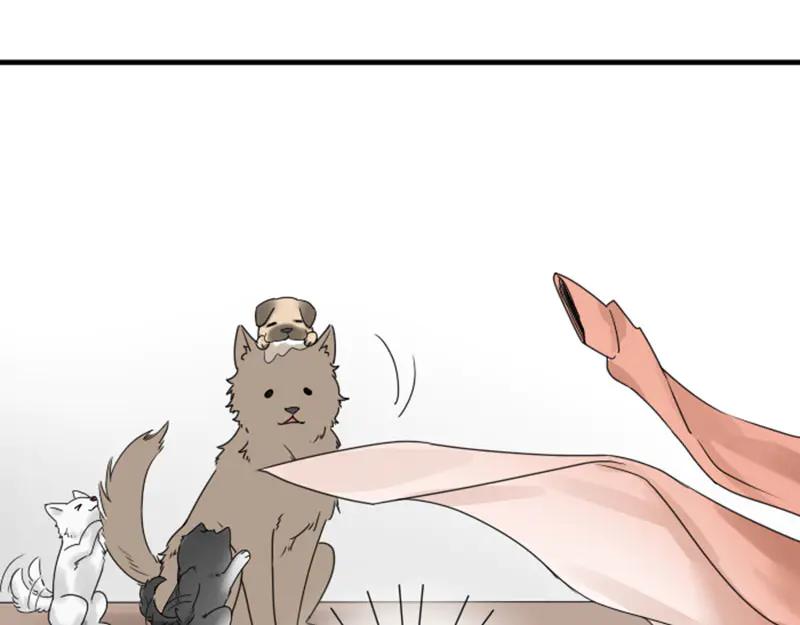 《降智小甜饼》第272-273话 温暖的狗狗 第48页