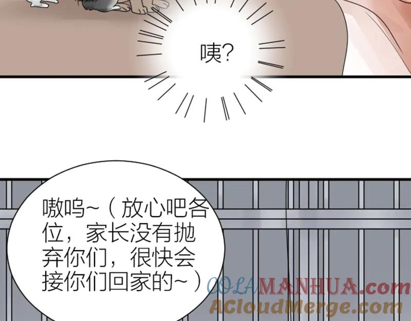 《降智小甜饼》第272-273话 温暖的狗狗 第49页