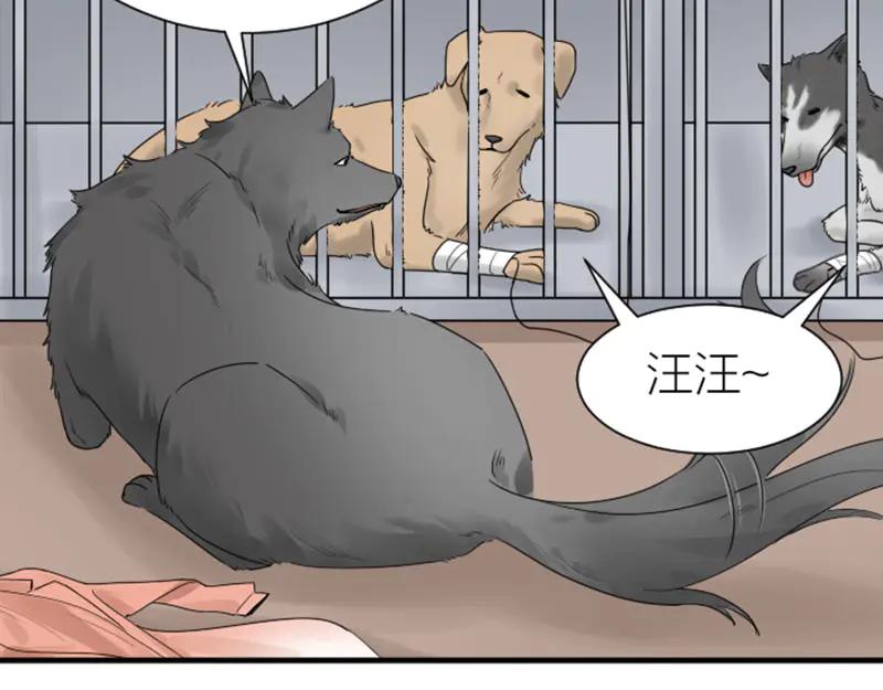 《降智小甜饼》第272-273话 温暖的狗狗 第50页