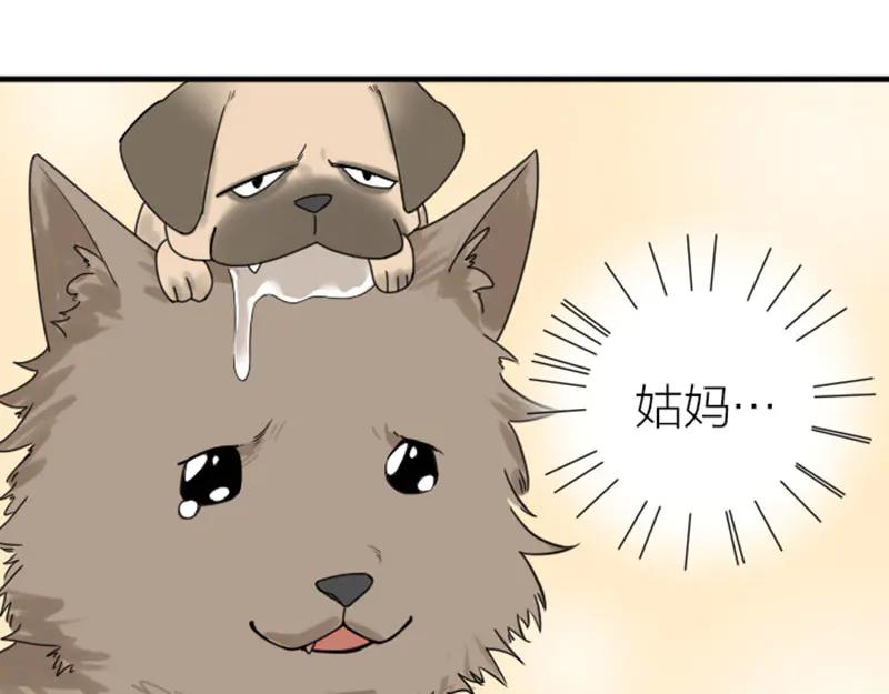 《降智小甜饼》第272-273话 温暖的狗狗 第51页