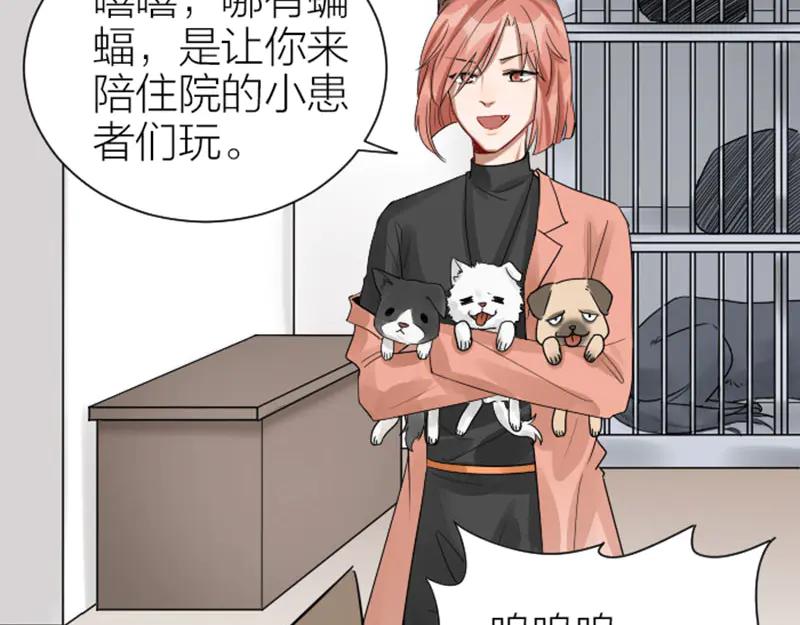《降智小甜饼》第272-273话 温暖的狗狗 第45页