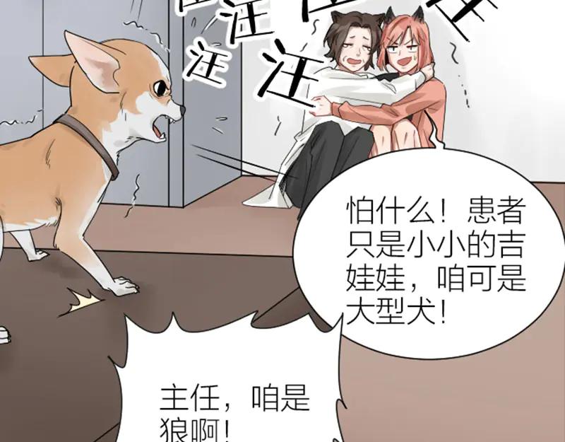 《降智小甜饼》第272-273话 温暖的狗狗 第38页