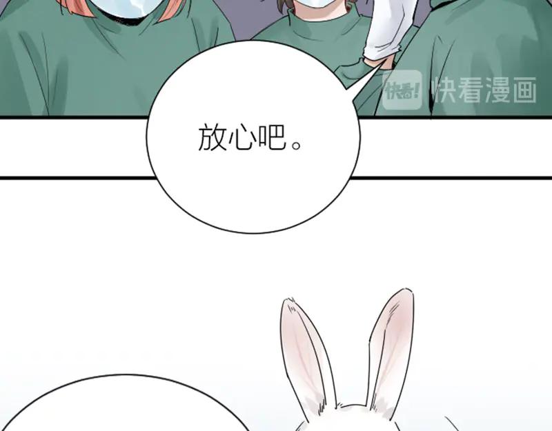 《降智小甜饼》第272-273话 温暖的狗狗 第12页