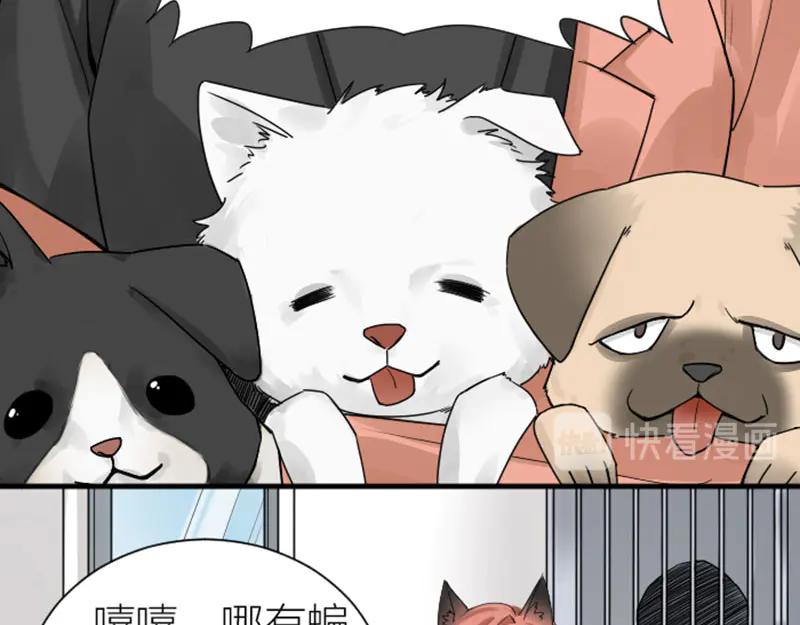 《降智小甜饼》第272-273话 温暖的狗狗 第44页