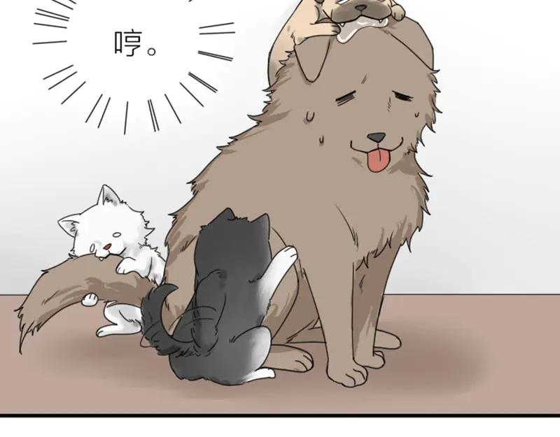 《降智小甜饼》第272-273话 温暖的狗狗 第47页