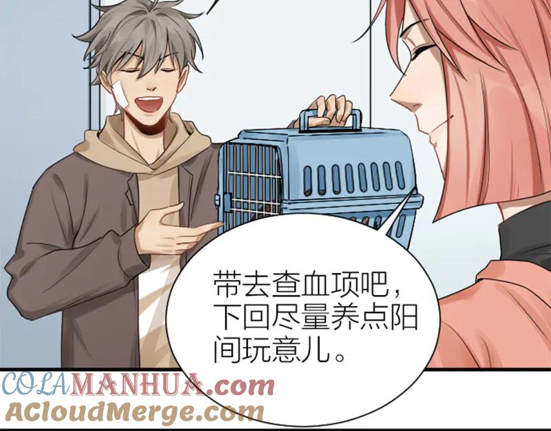 《降智小甜饼》第276-278话 在一起吧！ 第58页