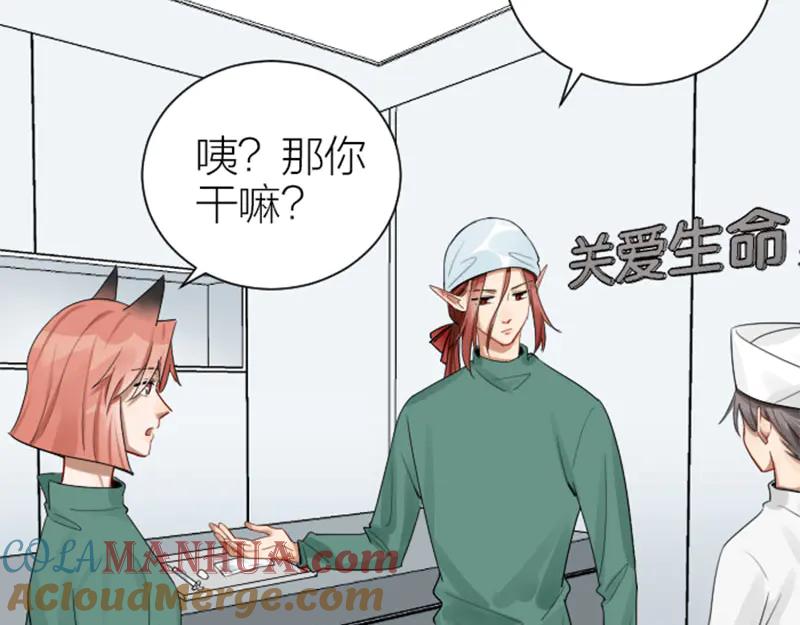 《降智小甜饼》第286-287话 内心的想法 第34页