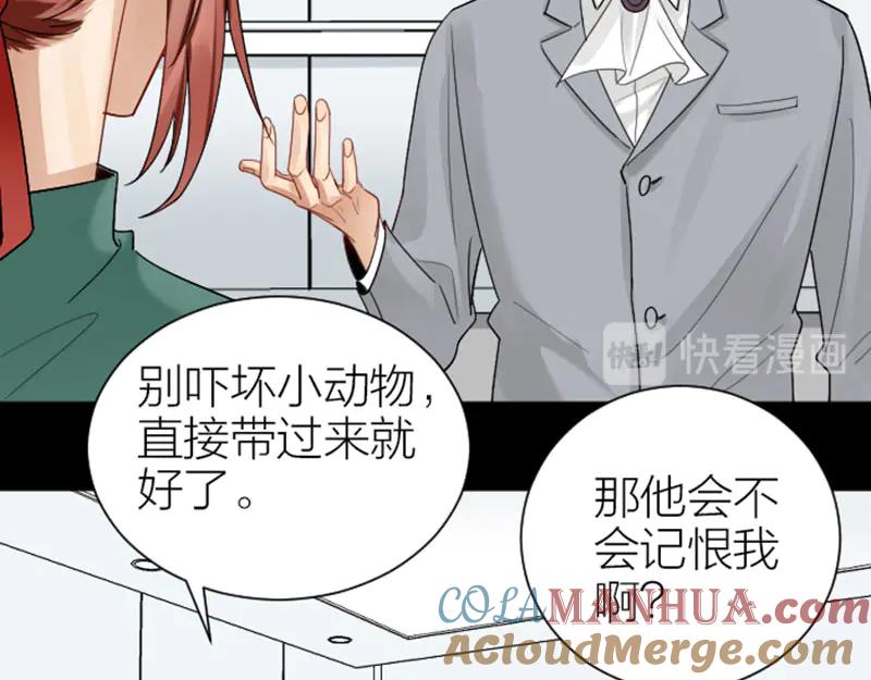 《降智小甜饼》第286-287话 内心的想法 第13页