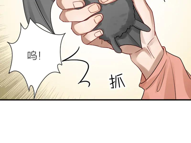 《降智小甜饼》第293-294话 人家舍不得 第28页