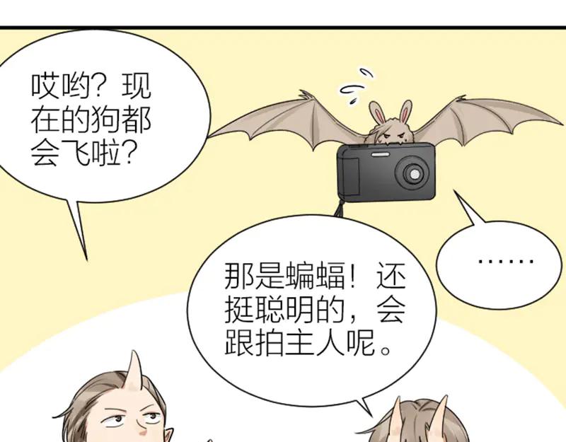 《降智小甜饼》第297-299话 情敌？ 第20页