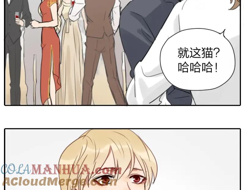 《降智小甜饼》第32-33话 最可爱的吸血鬼 第15页