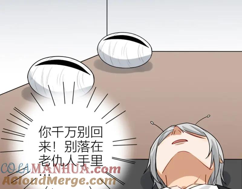 《降智小甜饼》第312-313话 强势回归 第34页