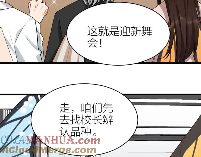 《降智小甜饼》第318-319话 迎新舞会 第7页