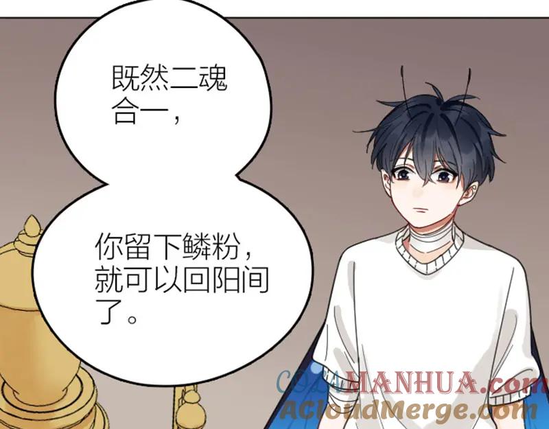 《降智小甜饼》第340-341话 第一个食物 第43页