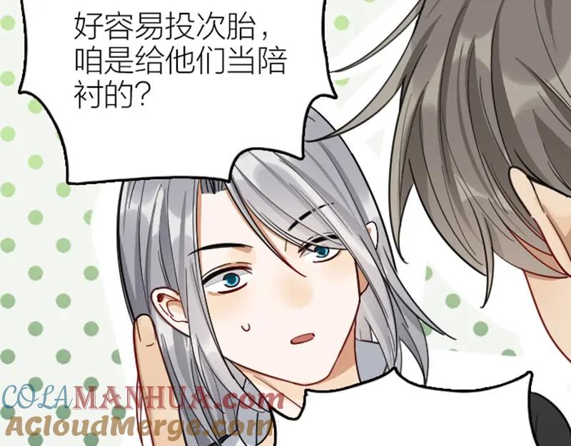 《降智小甜饼》第348-349话 后台 第16页