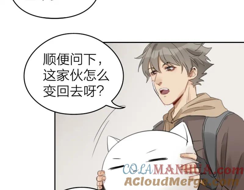 《降智小甜饼》第51-52话 盘猫猫头 第5页