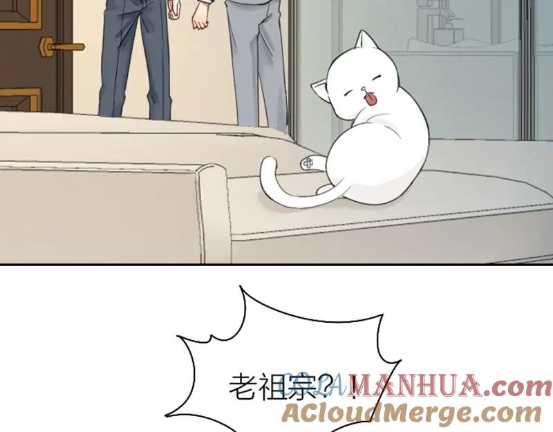 《降智小甜饼》第81-82话 血族客人 第11页