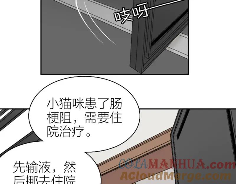 《降智小甜饼》第101-103话 其乐融融 第19页