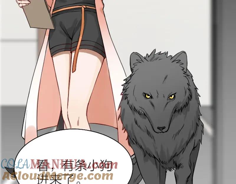 《降智小甜饼》第101-103话 其乐融融 第43页