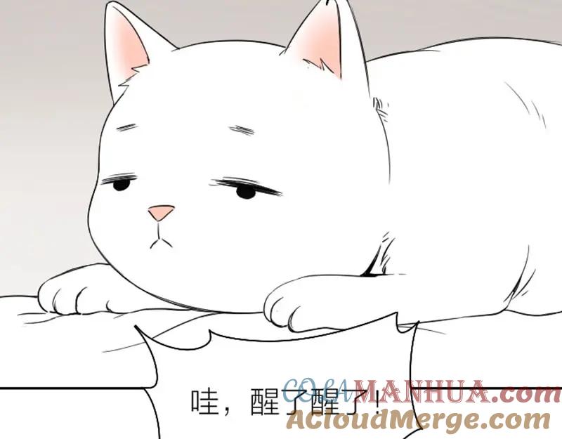 《降智小甜饼》第101-103话 其乐融融 第28页