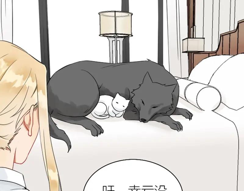 《降智小甜饼》第112-113话 蓝颜祸水 第6页