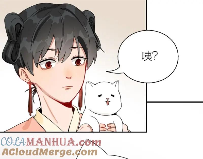 《降智小甜饼》第142话-第143话 猫藓 第7页