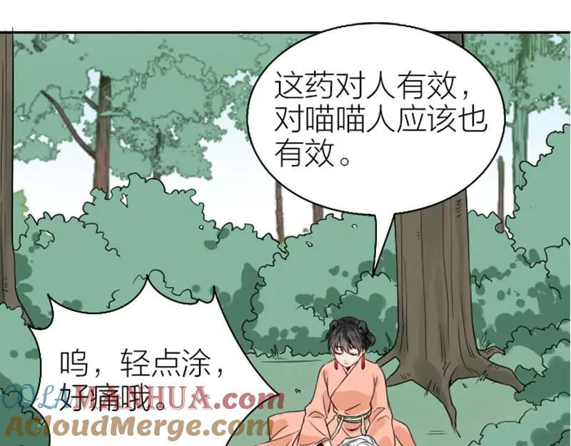 《降智小甜饼》第142话-第143话 猫藓 第37页