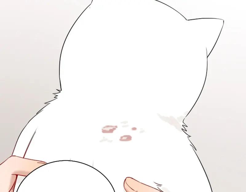 《降智小甜饼》第142话-第143话 猫藓 第8页