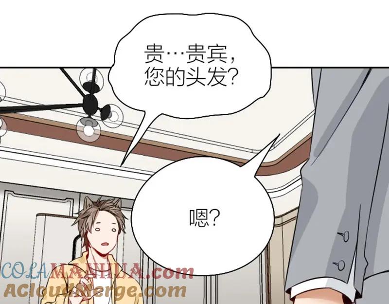 《降智小甜饼》第146话-第147话 变光头 第34页