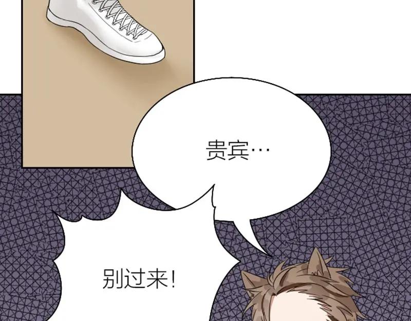 《降智小甜饼》第148话-第149话 光头 第9页