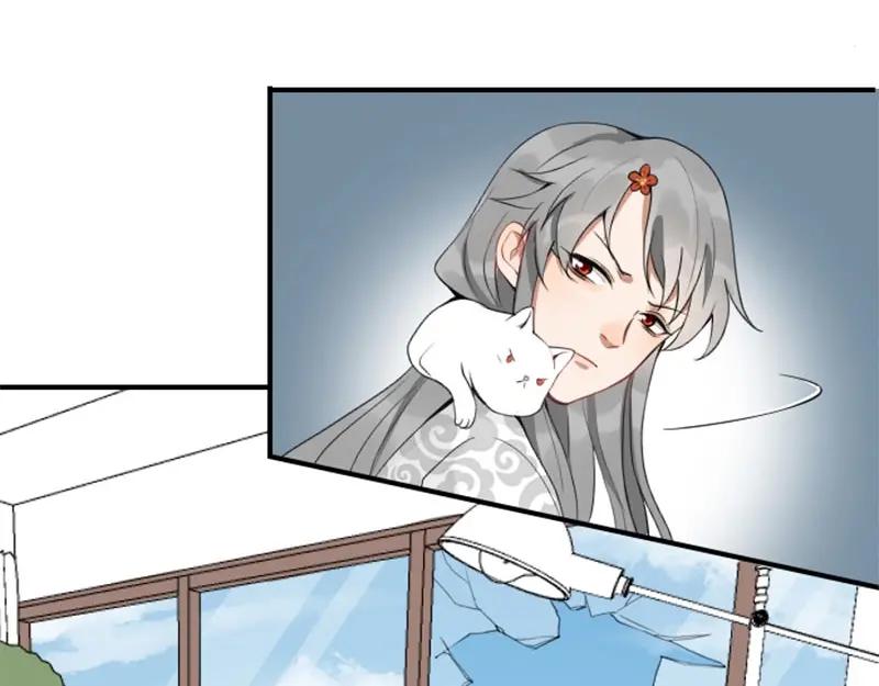 《降智小甜饼》第156-第157话 变猫猫！ 第6页